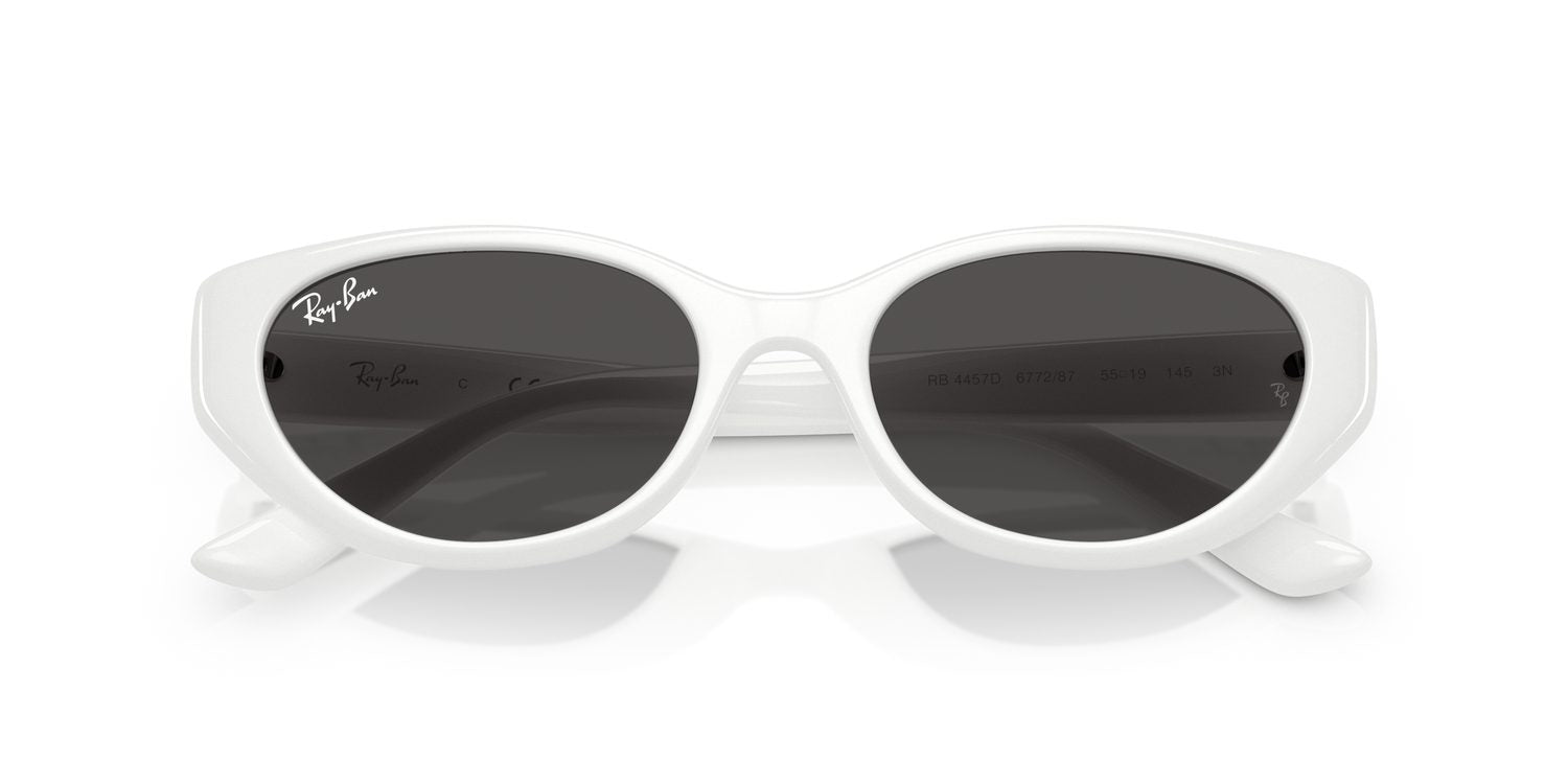 Ray-Ban | 0RB4457D