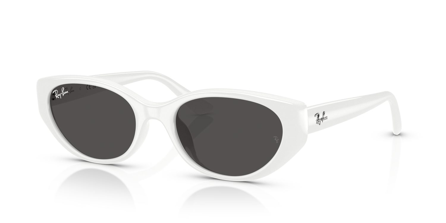 Ray-Ban | 0RB4457D