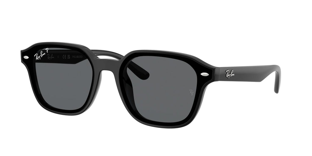 Ray-Ban | 0RB4458D
