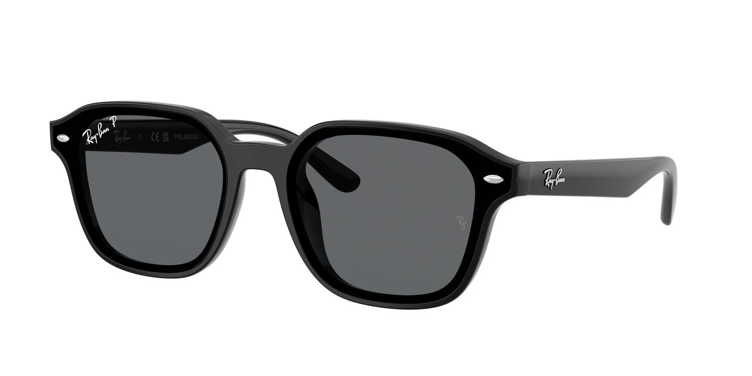 Ray-Ban | 0RB4458D