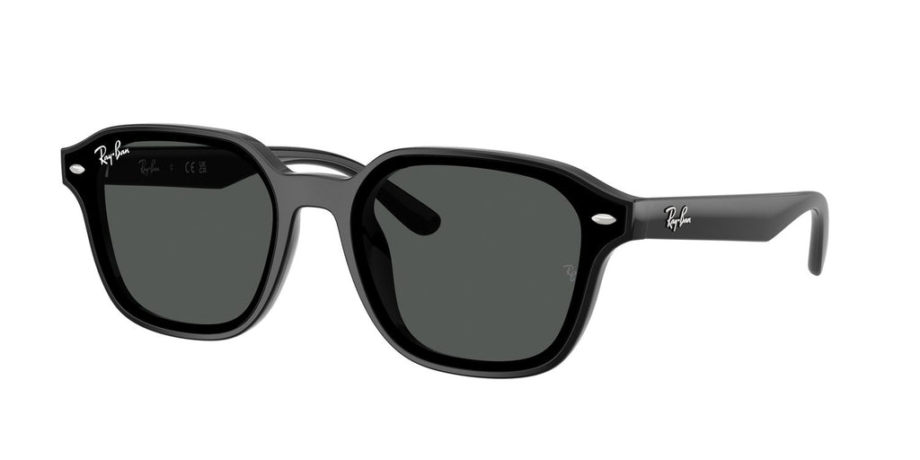 Ray-Ban | 0RB4458D