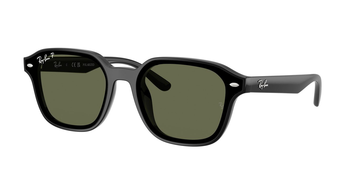 Ray-Ban | 0RB4458D