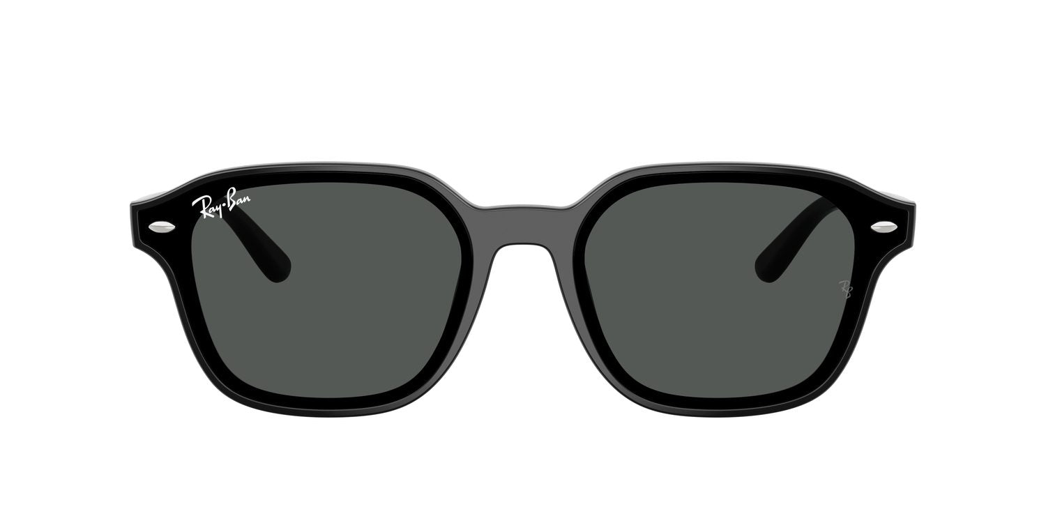 Ray-Ban | 0RB4458D