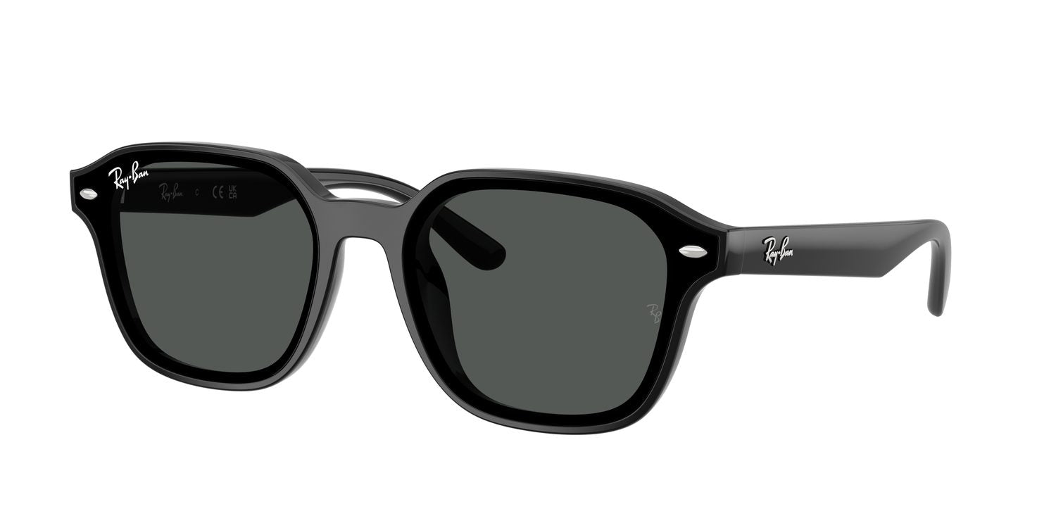 Ray-Ban | 0RB4458D