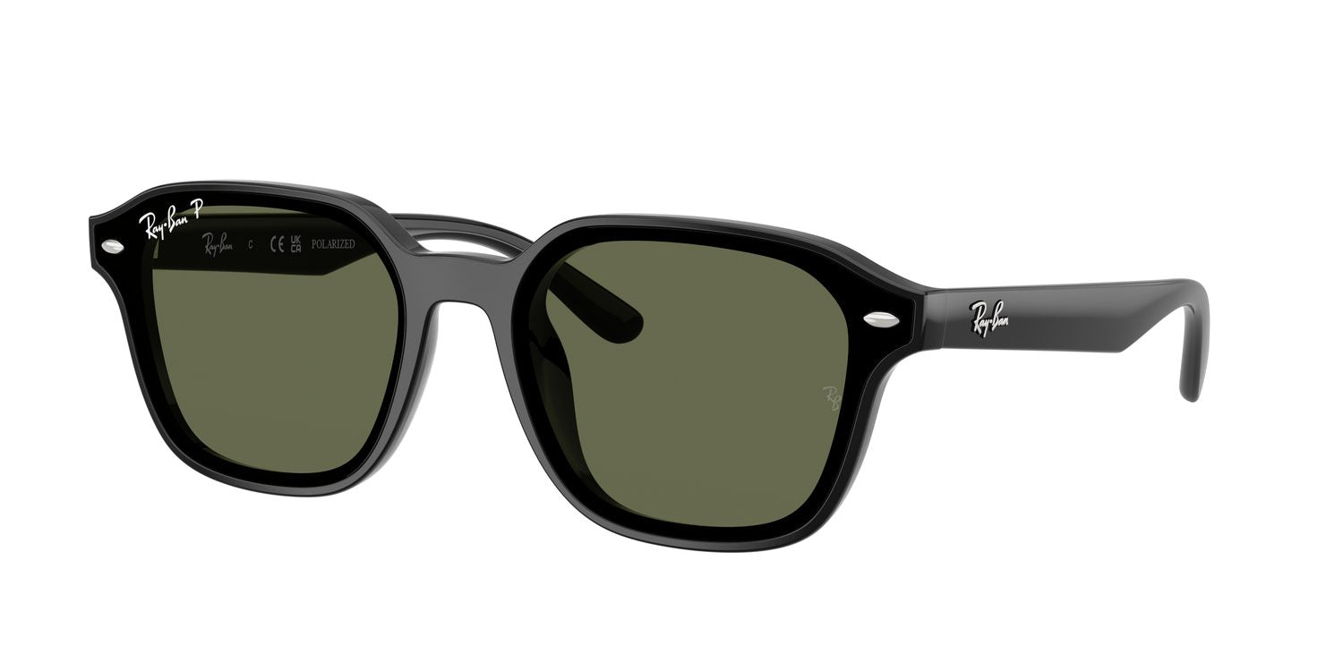 Ray-Ban | 0RB4458D