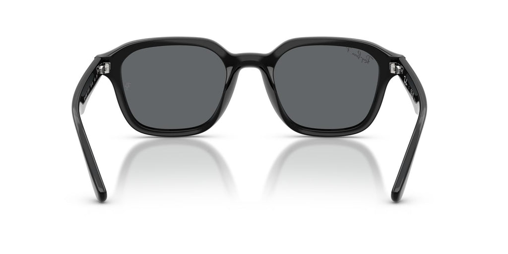 Ray-Ban | 0RB4458D
