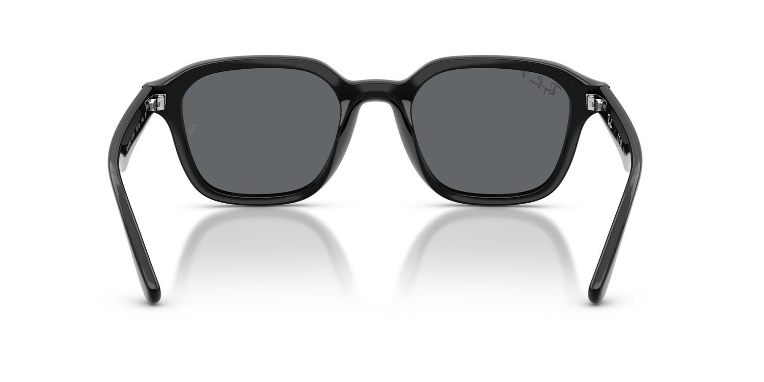Ray-Ban | 0RB4458D