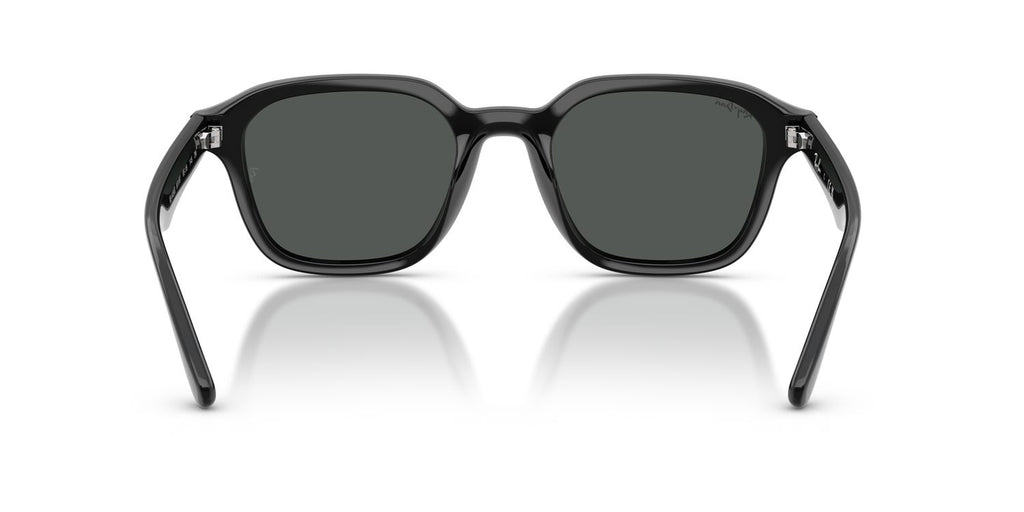 Ray-Ban | 0RB4458D