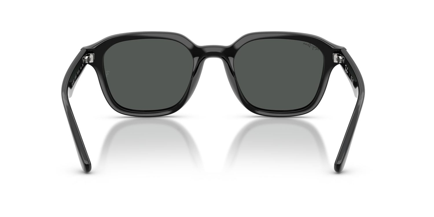Ray-Ban | 0RB4458D