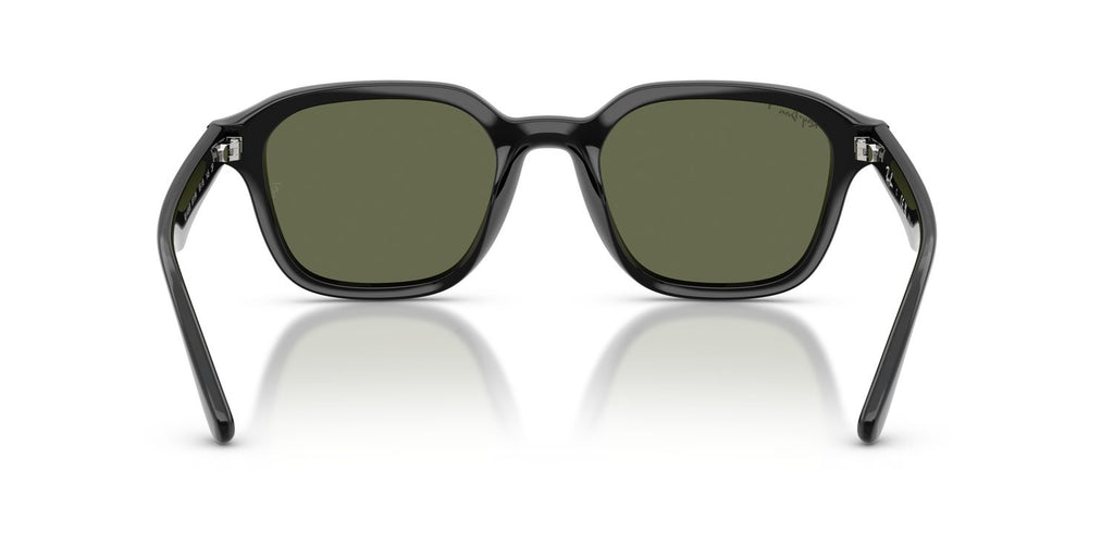 Ray-Ban | 0RB4458D