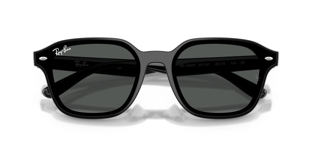 Ray-Ban | 0RB4458D