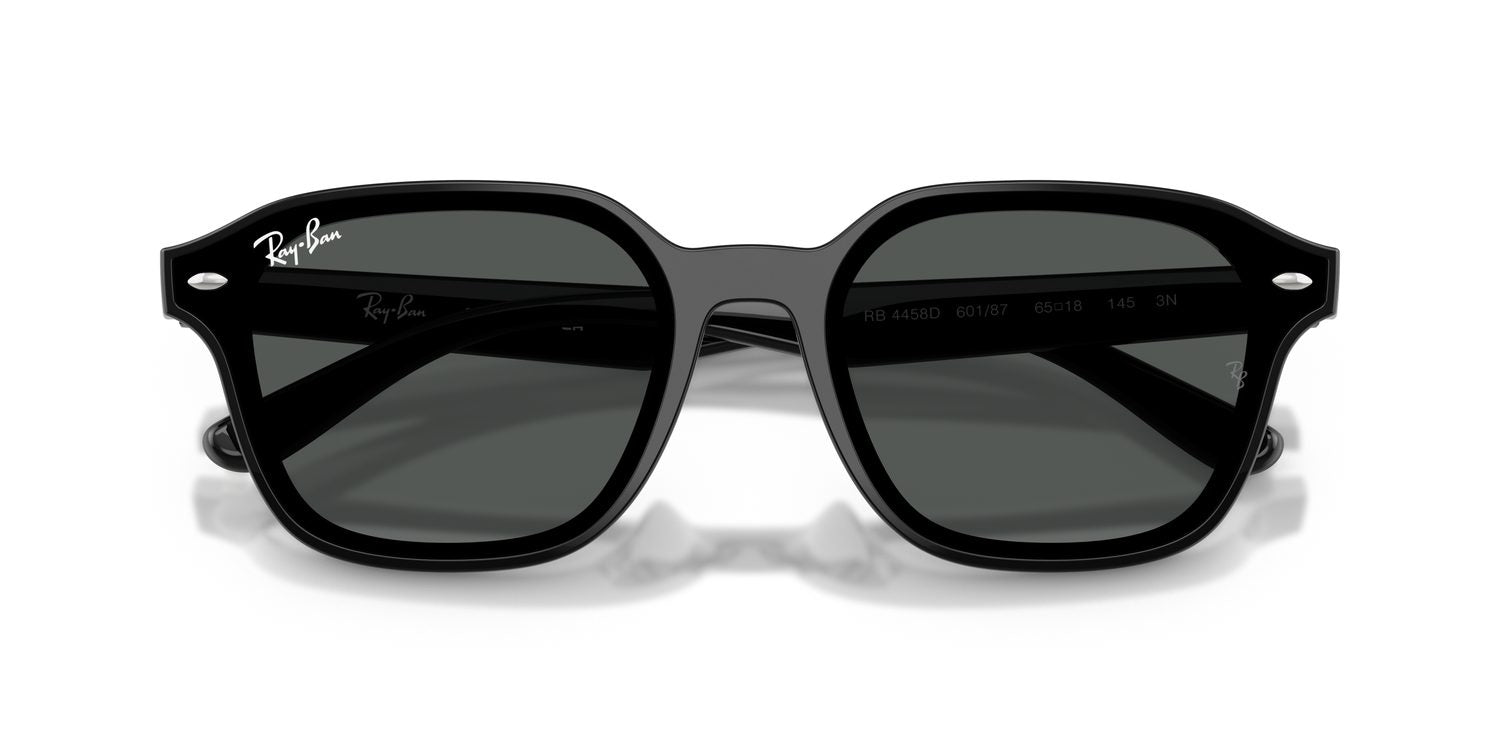 Ray-Ban | 0RB4458D