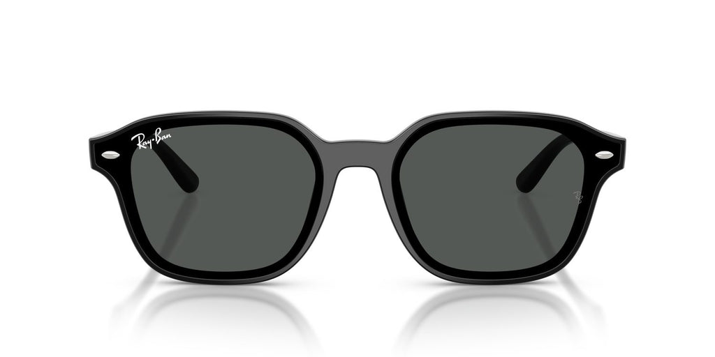 Ray-Ban | 0RB4458D