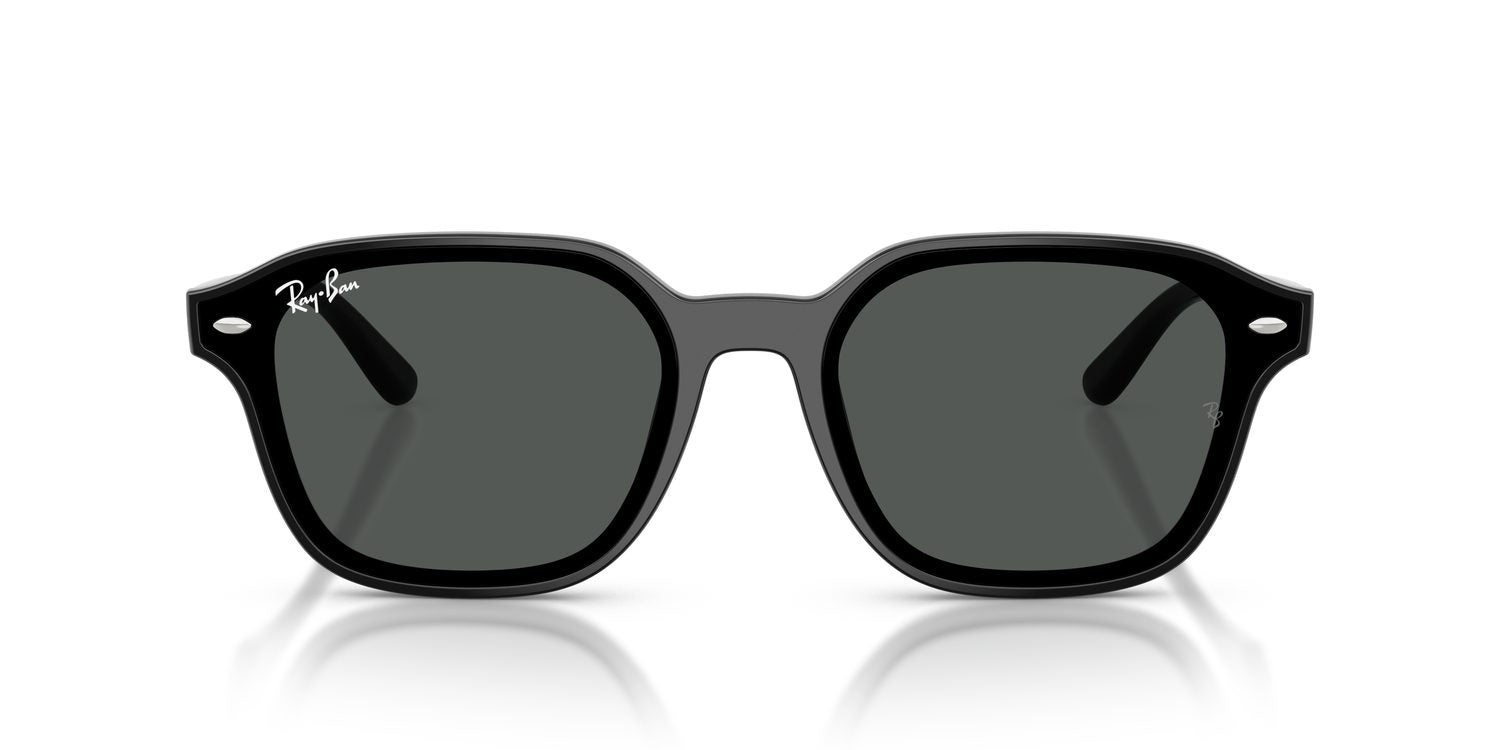 Ray-Ban | 0RB4458D