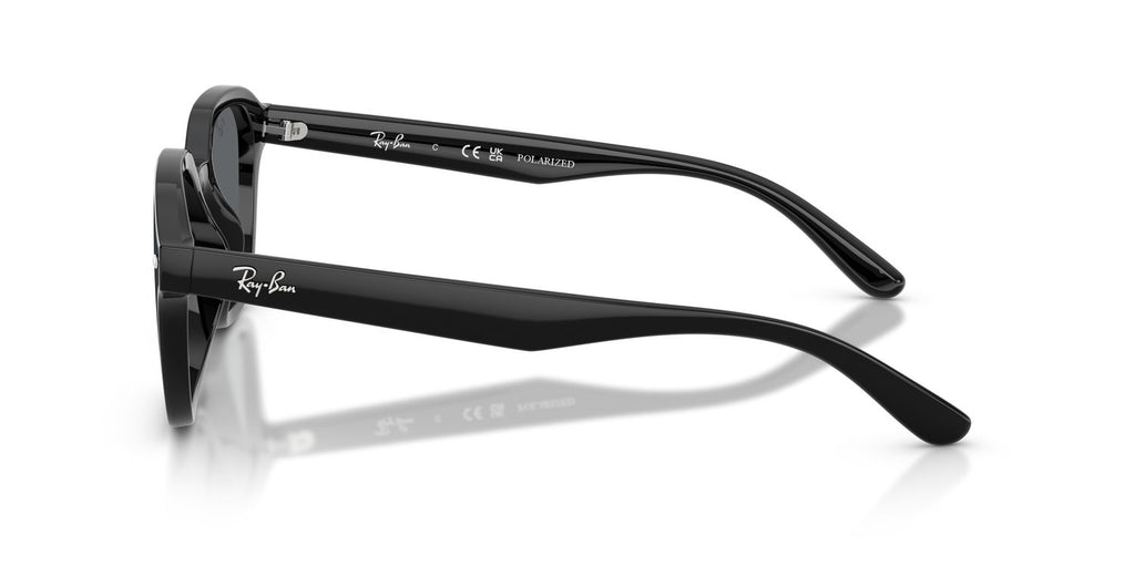 Ray-Ban | 0RB4458D