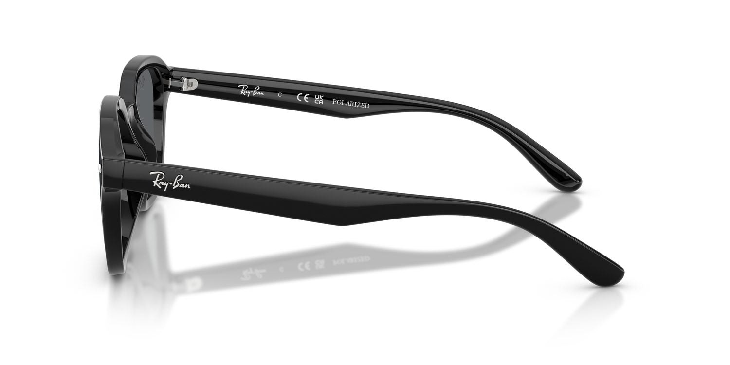 Ray-Ban | 0RB4458D