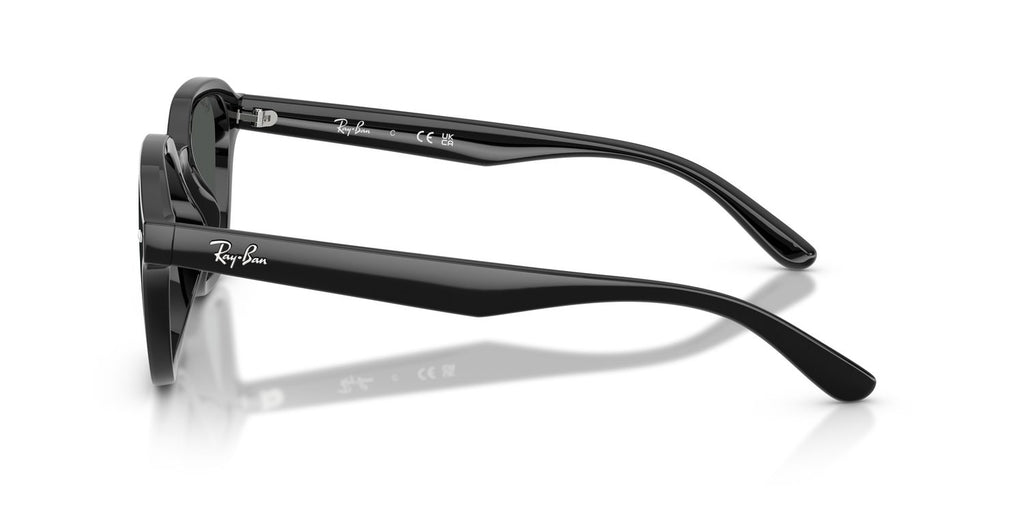 Ray-Ban | 0RB4458D
