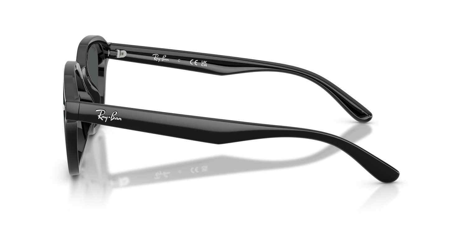 Ray-Ban | 0RB4458D