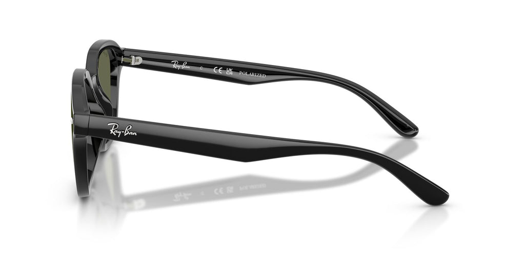 Ray-Ban | 0RB4458D