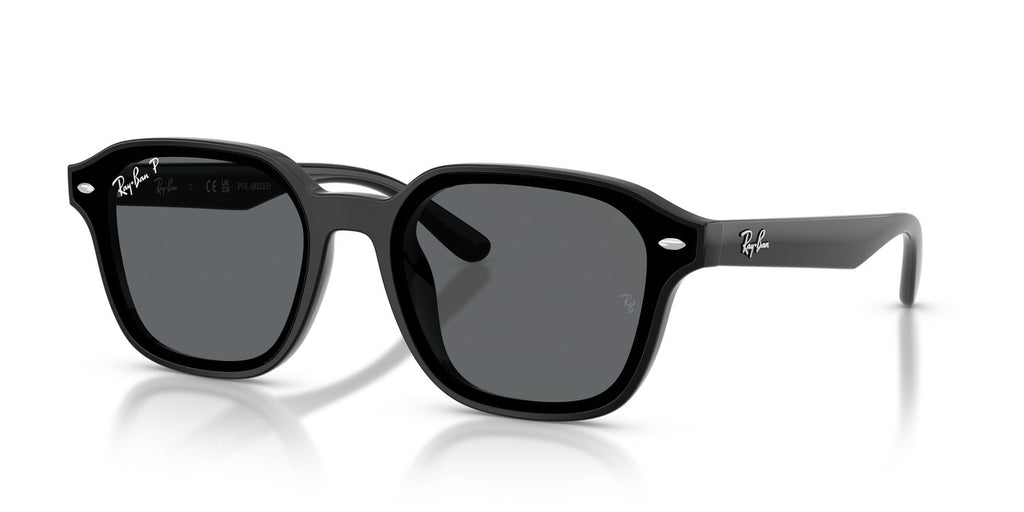 Ray-Ban | 0RB4458D