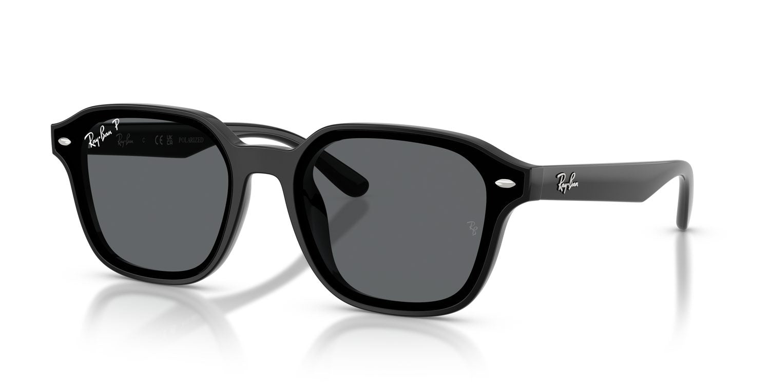 Ray-Ban | 0RB4458D