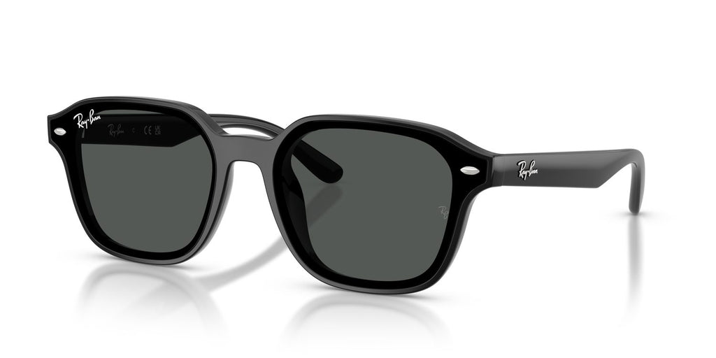 Ray-Ban | 0RB4458D