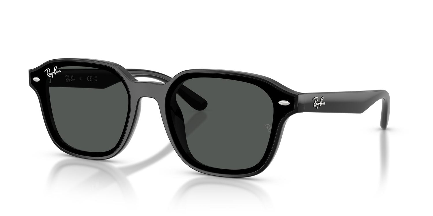 Ray-Ban | 0RB4458D