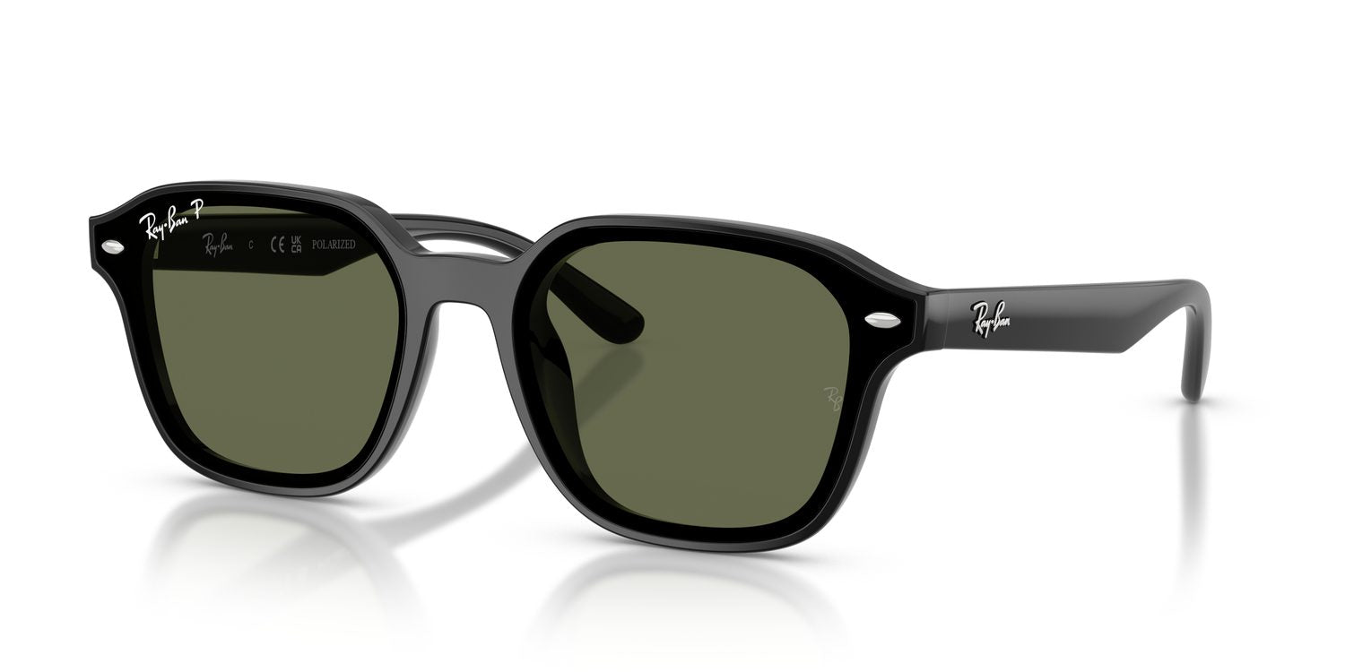 Ray-Ban | 0RB4458D