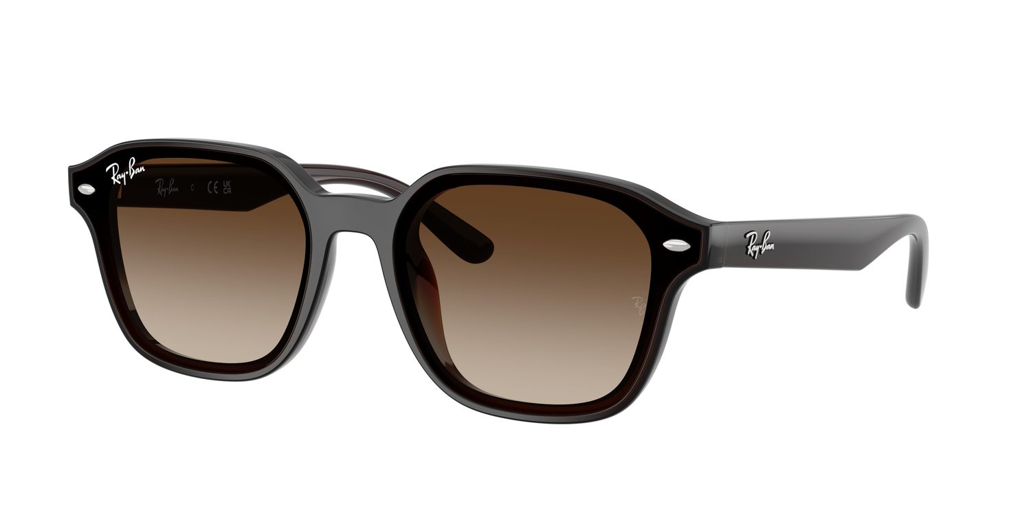 Ray-Ban | 0RB4458D