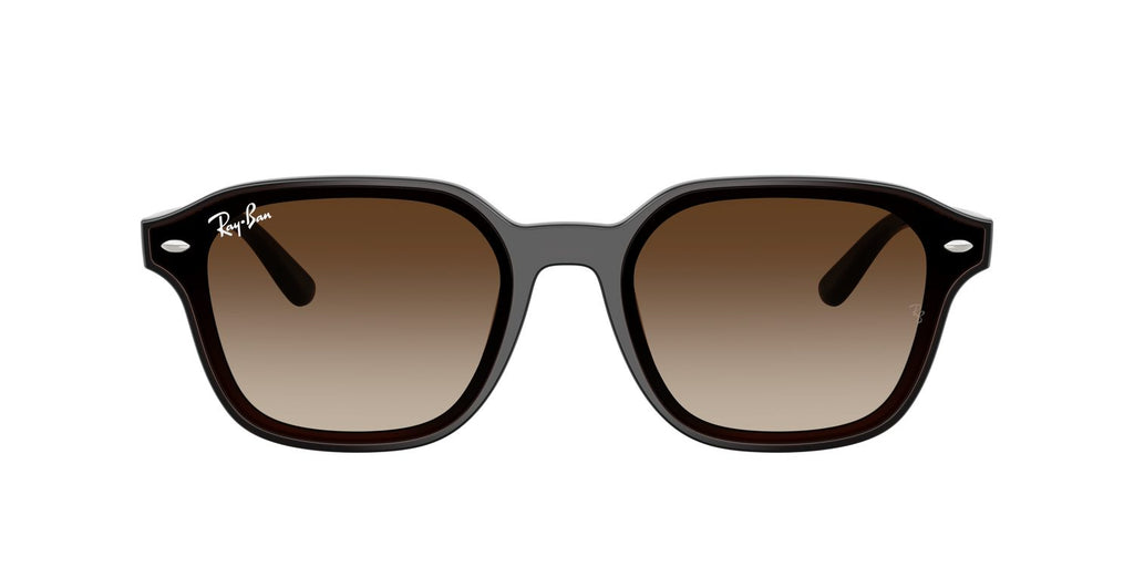 Ray-Ban | 0RB4458D