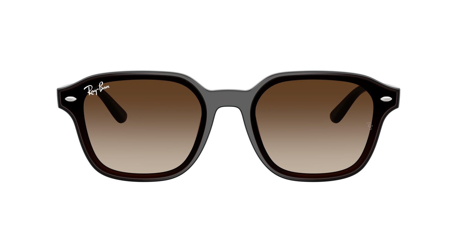 Ray-Ban | 0RB4458D