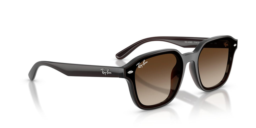 Ray-Ban | 0RB4458D