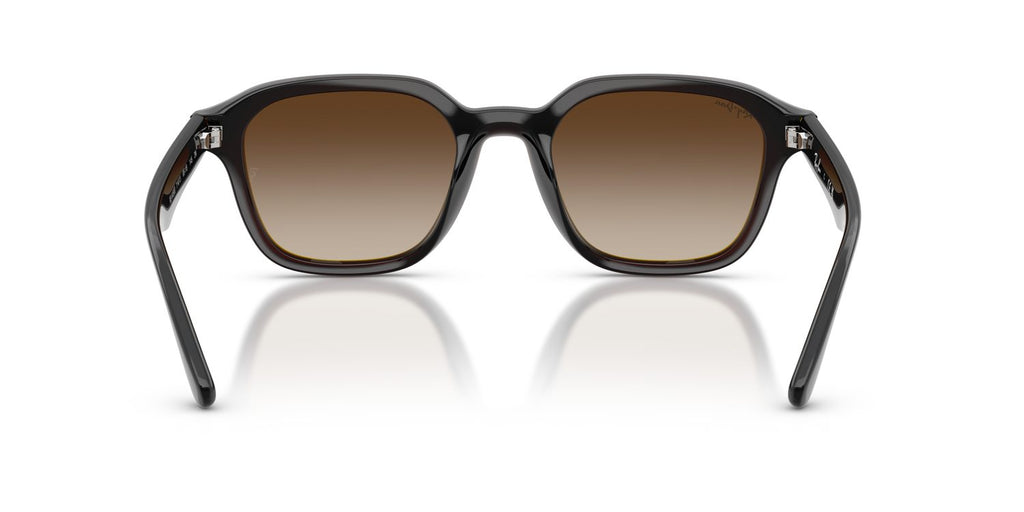 Ray-Ban | 0RB4458D