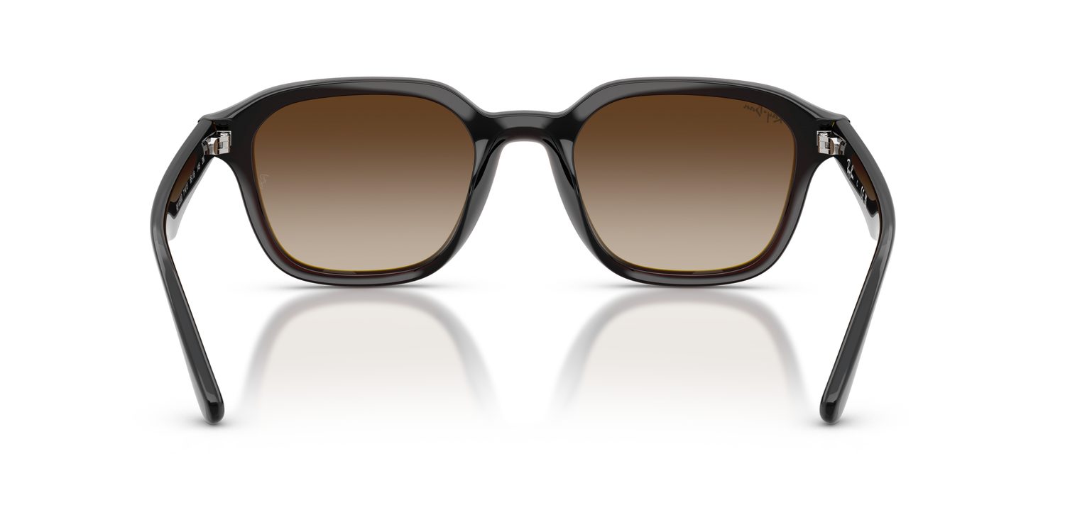 Ray-Ban | 0RB4458D