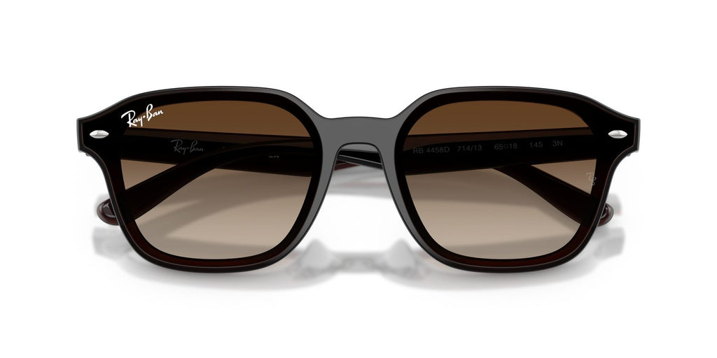 Ray-Ban | 0RB4458D