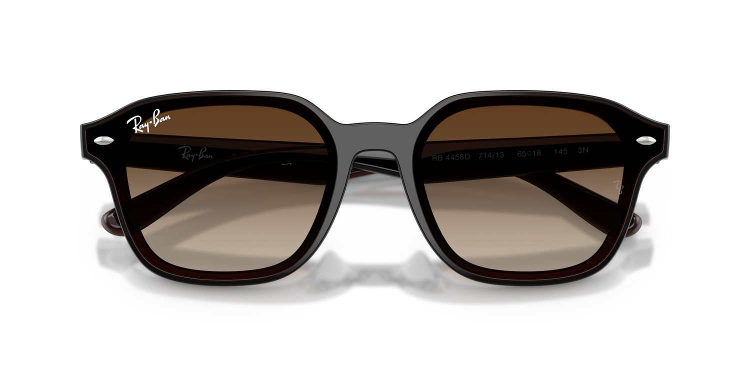 Ray-Ban | 0RB4458D