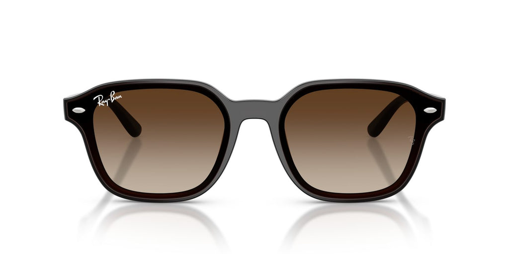 Ray-Ban | 0RB4458D