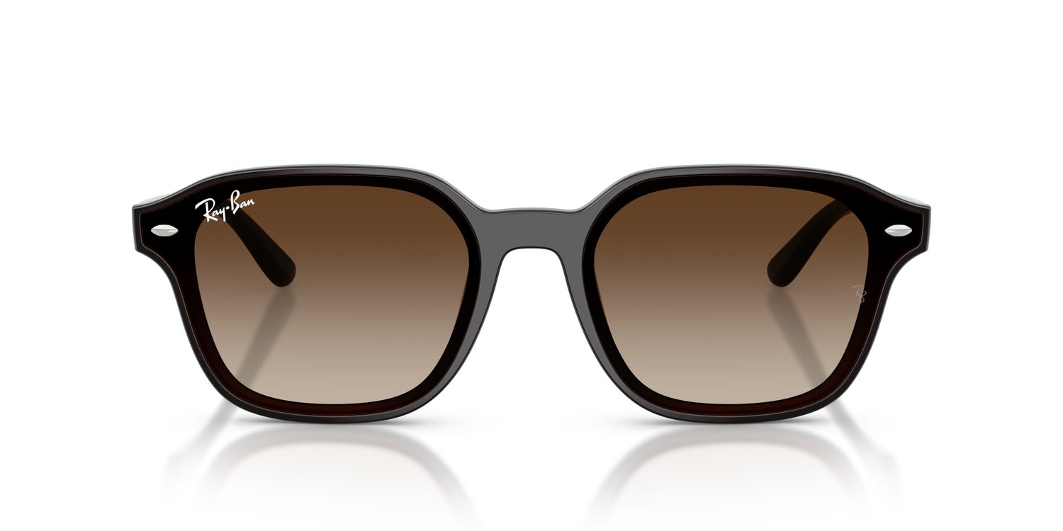 Ray-Ban | 0RB4458D