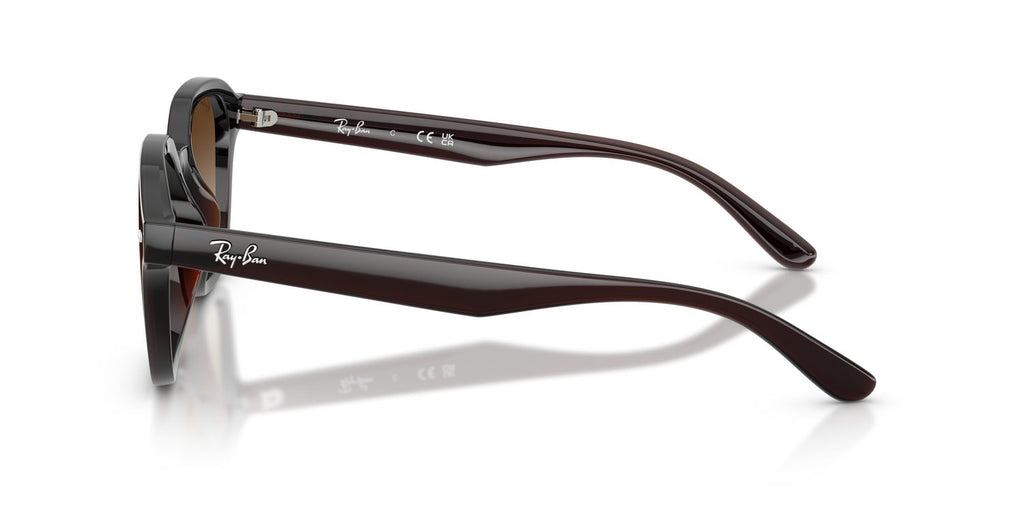 Ray-Ban | 0RB4458D