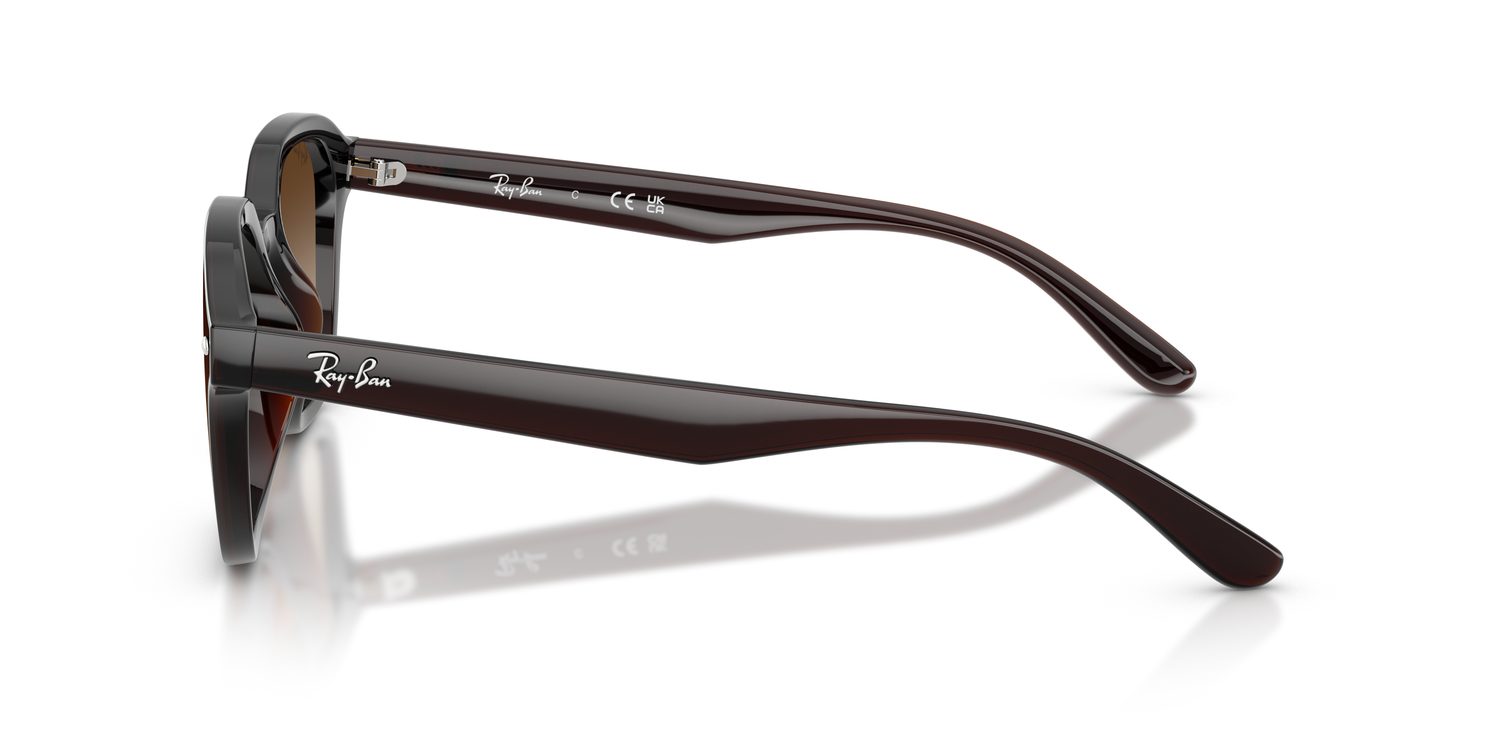 Ray-Ban | 0RB4458D