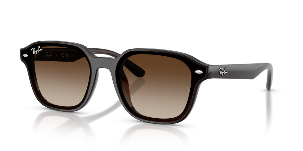 Ray-Ban | 0RB4458D