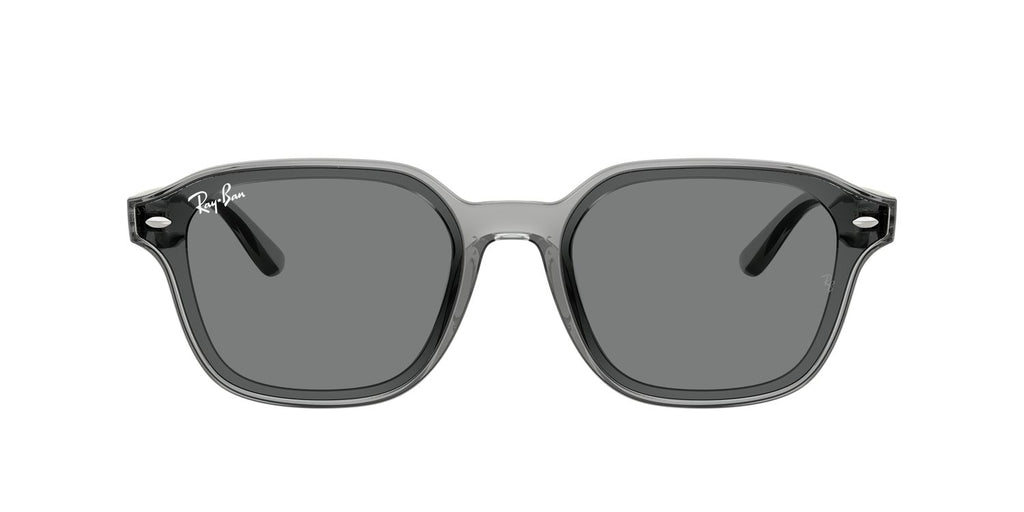 Ray-Ban | 0RB4458D