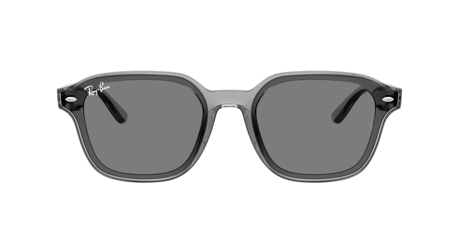 Ray-Ban | 0RB4458D