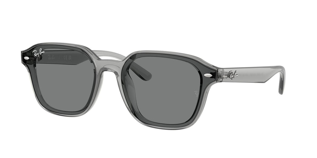 Ray-Ban | 0RB4458D