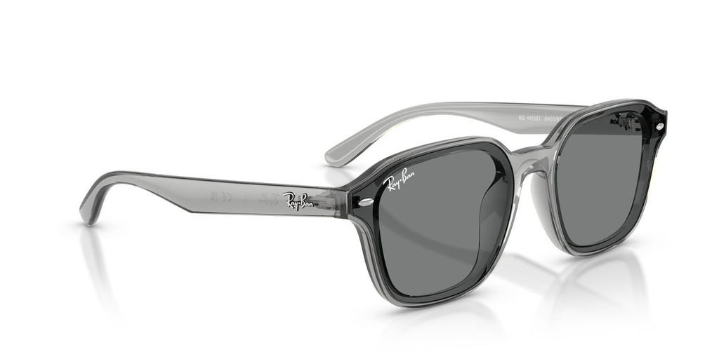 Ray-Ban | 0RB4458D