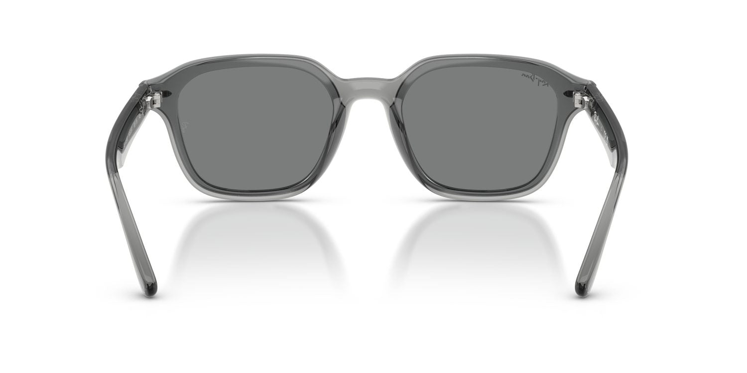 Ray-Ban | 0RB4458D