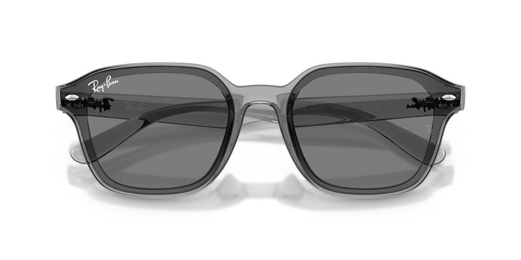 Ray-Ban | 0RB4458D
