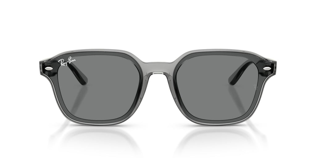 Ray-Ban | 0RB4458D