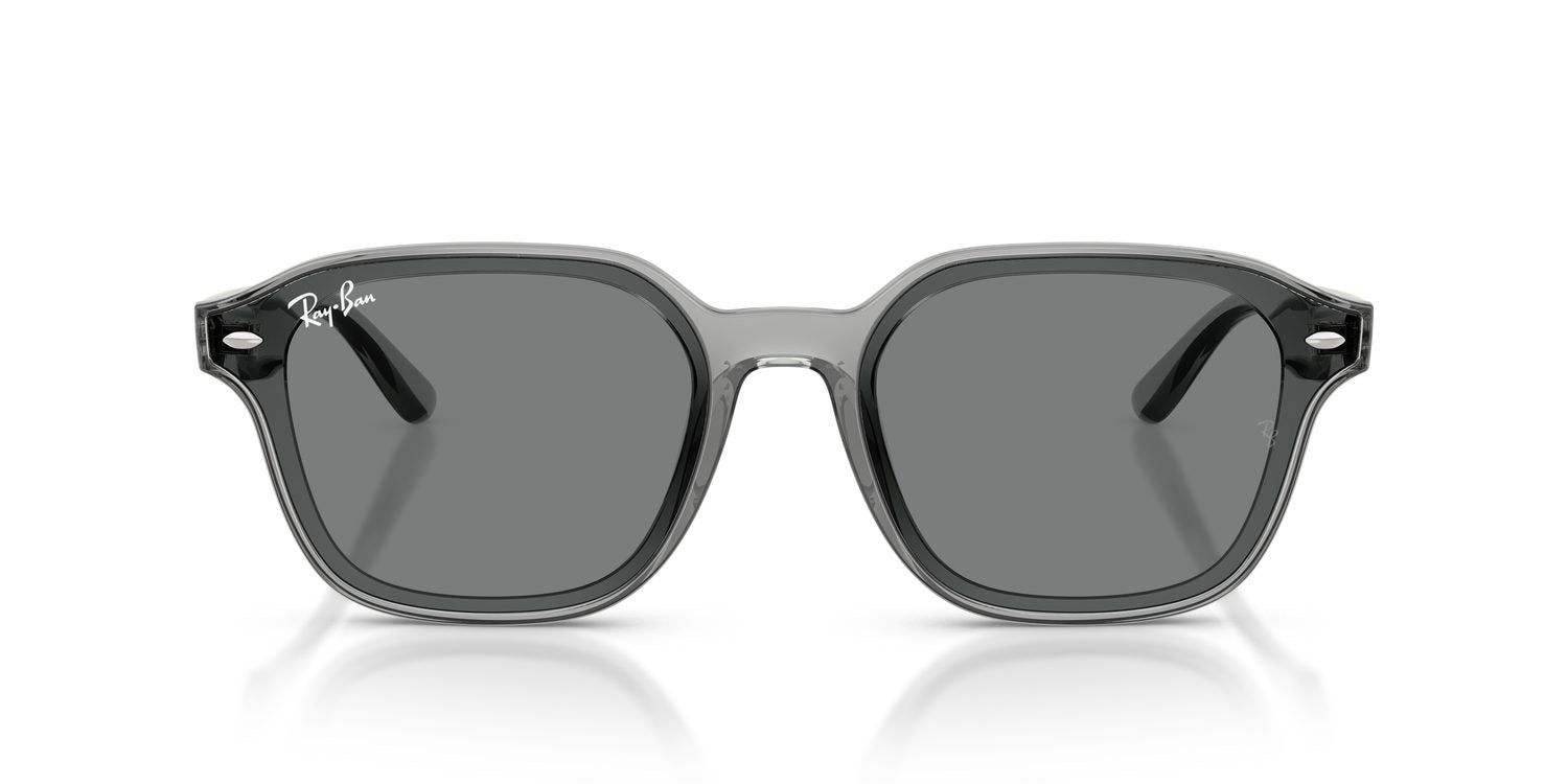 Ray-Ban | 0RB4458D