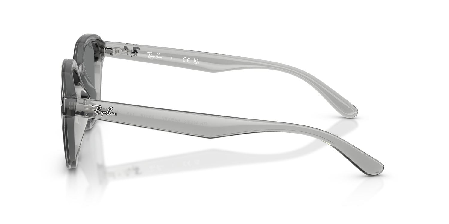 Ray-Ban | 0RB4458D